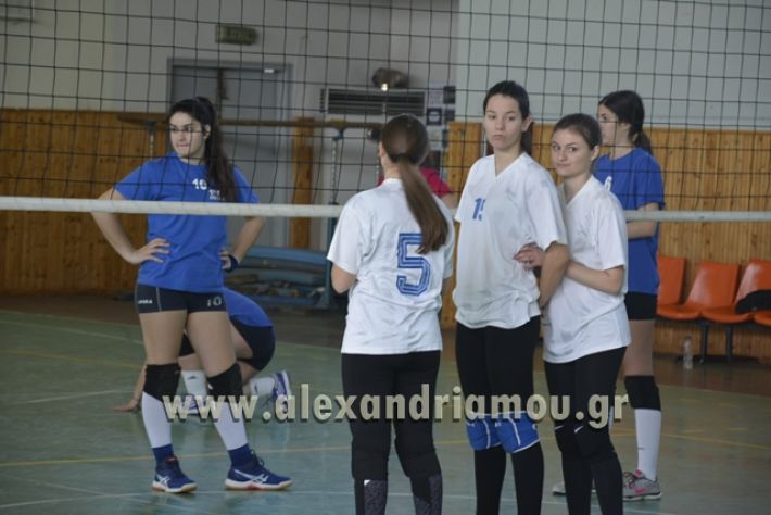 volley_1o-alexandreias-melikis2018 (36)